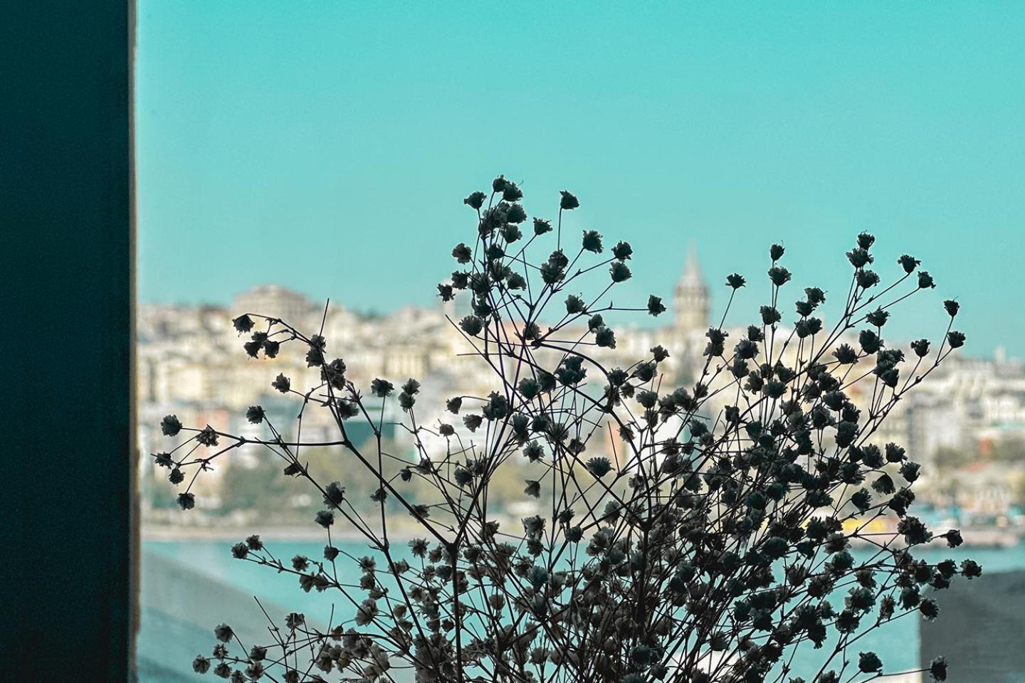 The Halic Bosphorus Hotel Istanbul Exterior photo